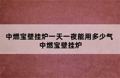 中燃宝壁挂炉一天一夜能用多少气 中燃宝壁挂炉